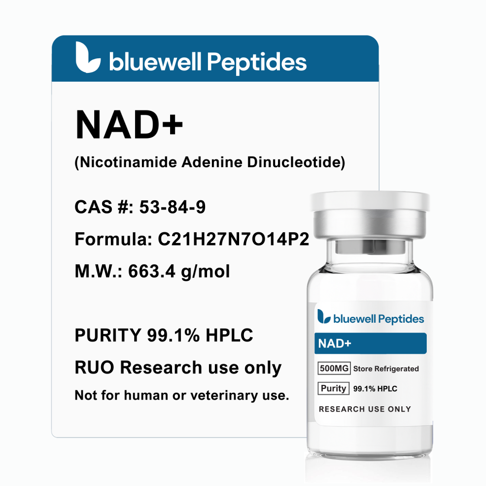 NAD Plus 500mg high purity lyophilised research compound vial by Bluewell Peptides